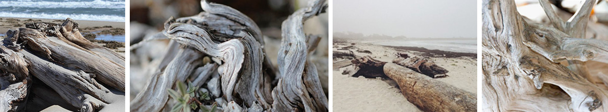 Sand and Driftwood